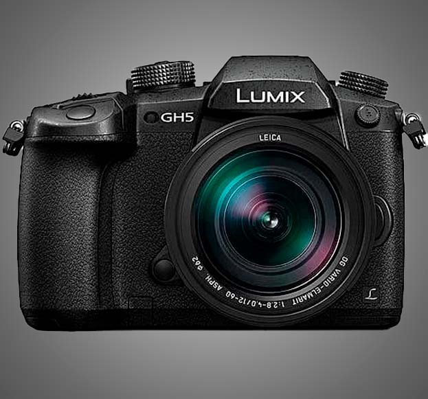 PANASONIC LUMIX GH5